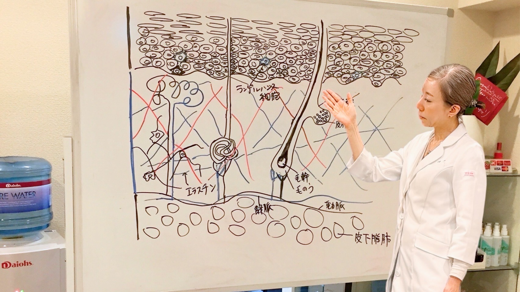 このスクールで学べること